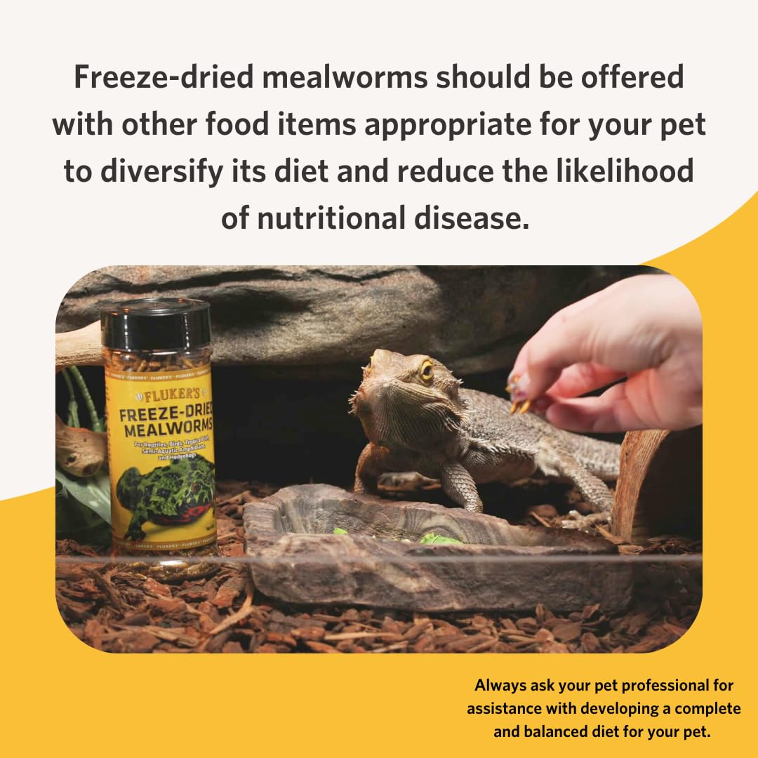 Fluker's Freeze Dried Mealworms for Reptiles, Packed with Protein and Essential Nutrients, 1 lb. Value Pack