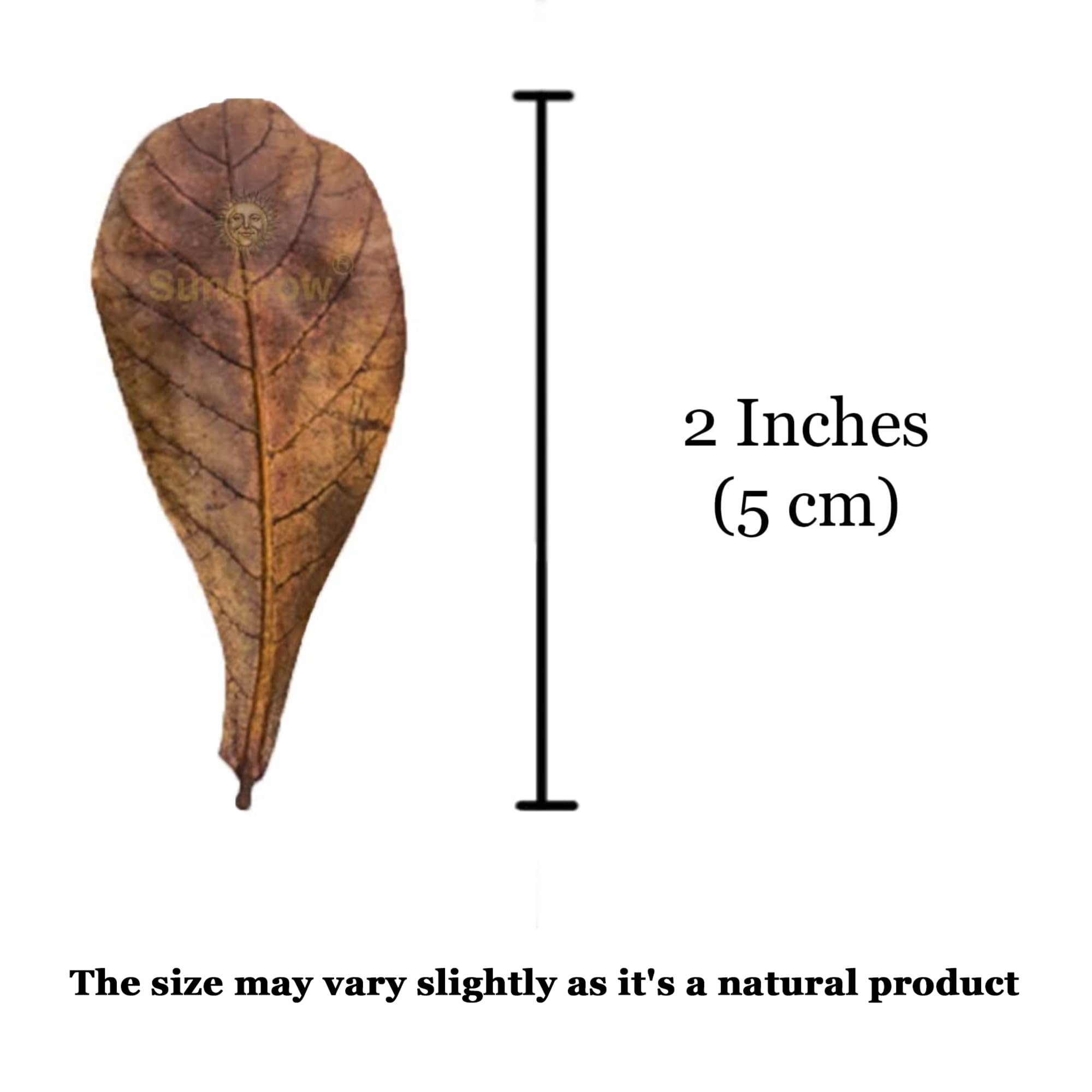 SunGrow 100 Pack Leaf Litter for Spider, Cricket & Isopod, Mini Catappa Dried Indian Almond Leaves, for Vivarium, Terrarium & Aq