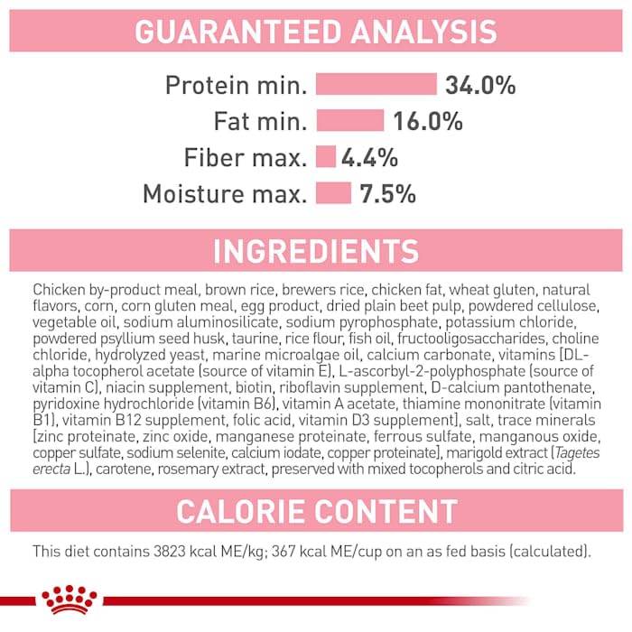 Royal Canin Feline Health Nutrition Dry Kitten Food, Supports Digestive Health, Immune Support and Healthy Energy, 14 lb Bag