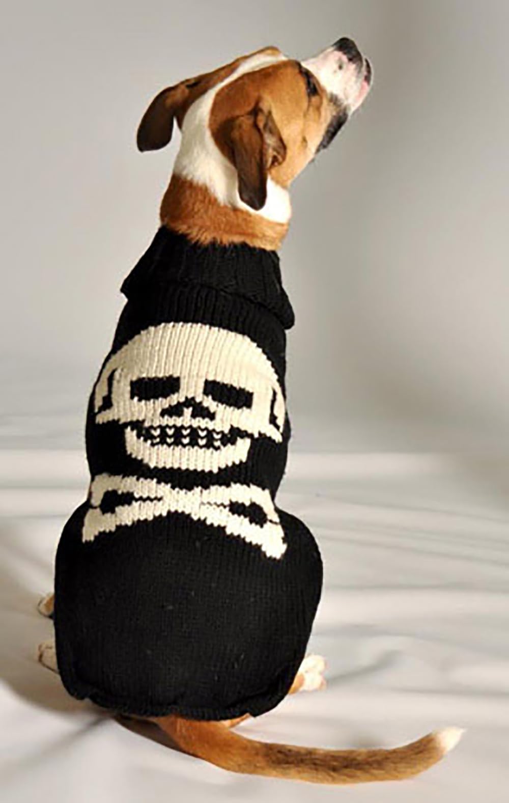 Chilly Dog Black Skull Sweater (X-Large)