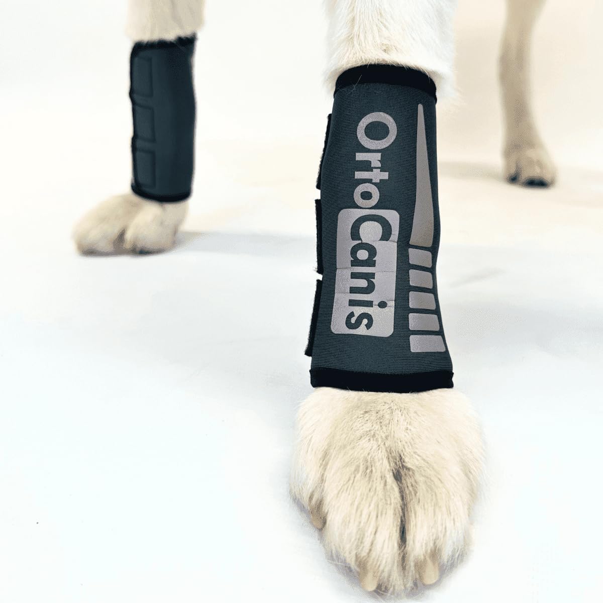 Ortocanis - Carpal Brace for Dogs with Arthrosis, Ligament or Tendon Injuries, or Agility Dogs, Size XXS