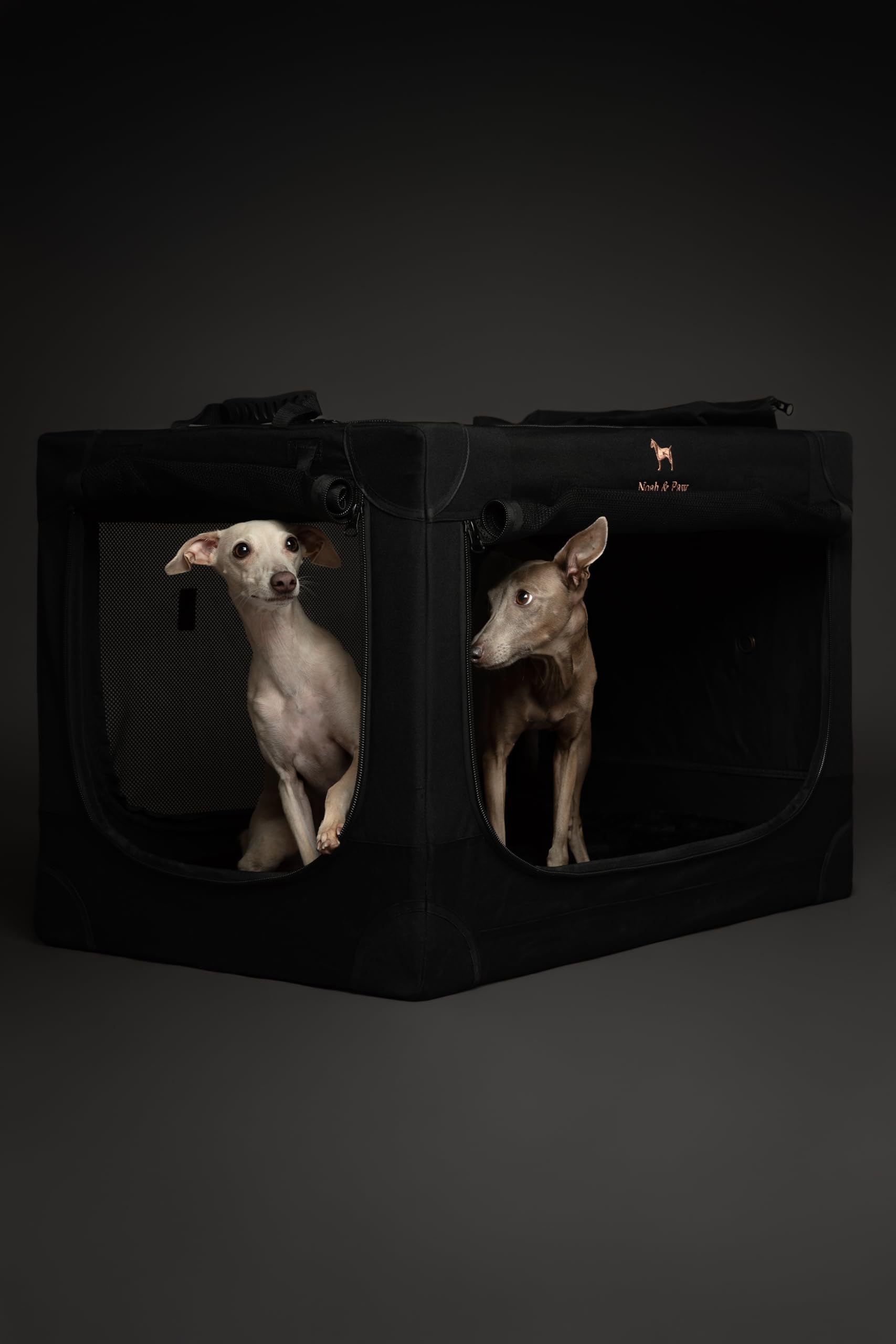 NOAH & PAW Collapsible Dog Crate, Large 30" Travel Kennel, Black Polyester, Includes Pet Mat & Storage Pockets, Model CO-BLACK-L