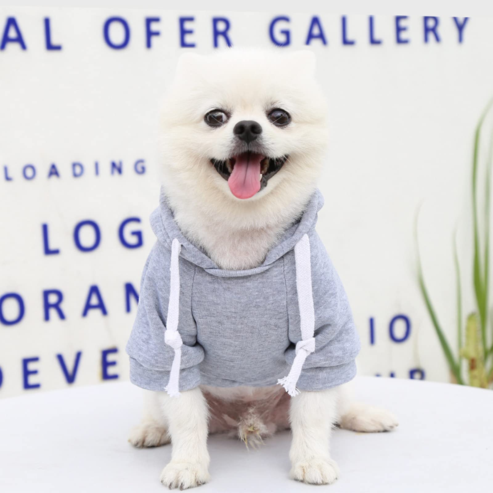 Petcare Small Dog Sweater Hoodies Pet Grey Hooded Soft Fleece Sweatshirts With Pocket Fall Winter Puppy Cat Sweaters Warm Clothe