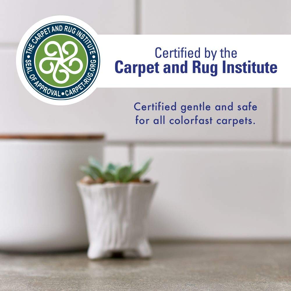 Rocco & Roxie Supply Co. Stain & Odor Eliminator For Strong Odor - Enzyme Pet Odor Eliminator For Home - Carpet Stain Remover For Cats & Dog Pee - Enzymatic Cat Urine Destroyer - Carpet Cleaner Spray