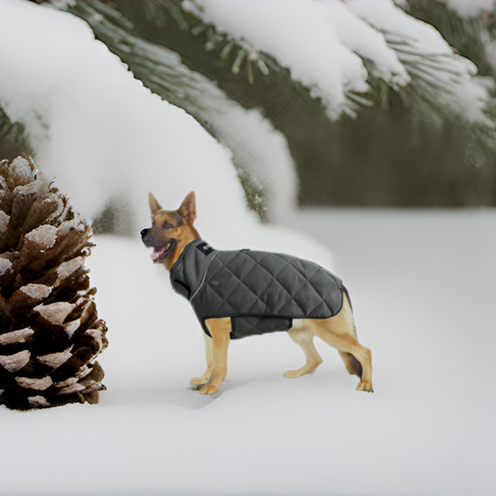 Hchyey Weighted Dog Vest, Tactical Weight Coat With Beads For Dogs Anxiety- Relieve Stress, Build Muscle & Optimize Health, Prem