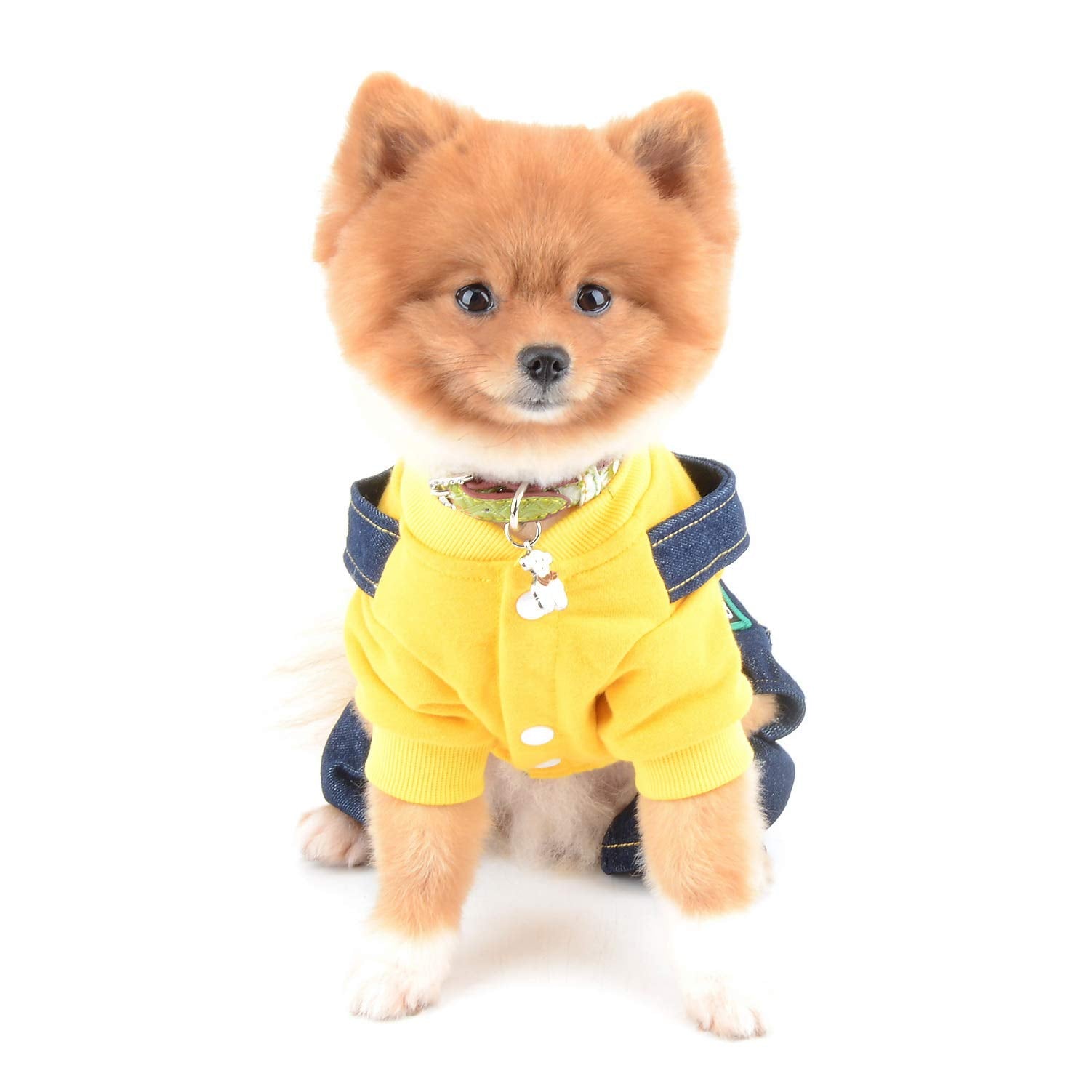 Selmai Dog Outfits For Small Dogs Boy Girl Spring Shirts Denim Bib Pants 2 Pockets Jumpsuits One Piece Apparel For Cats Puppies Chihuahua Clothes Adorable Overall For Medium Pet 4 Legs Autumn Yellow S