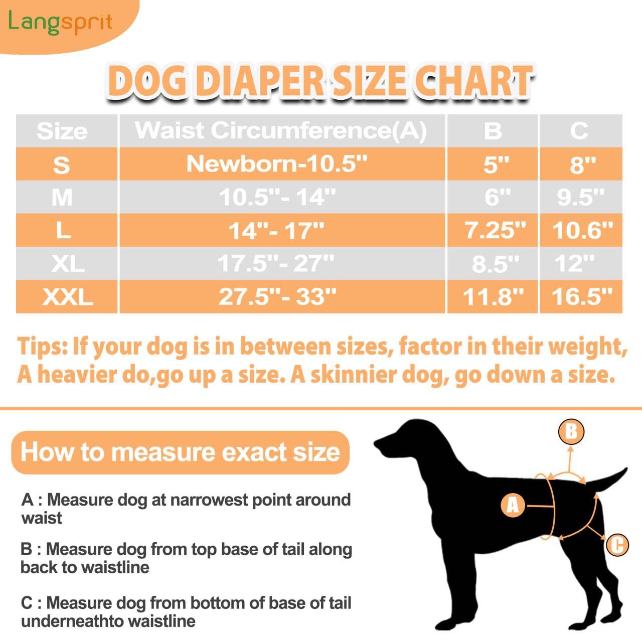 Langsprit Washable Female Dog Diapers (3 Pack) - Doggie Reusable Small Medium Large Dog Diapers for Doggy Puppy Female in Period