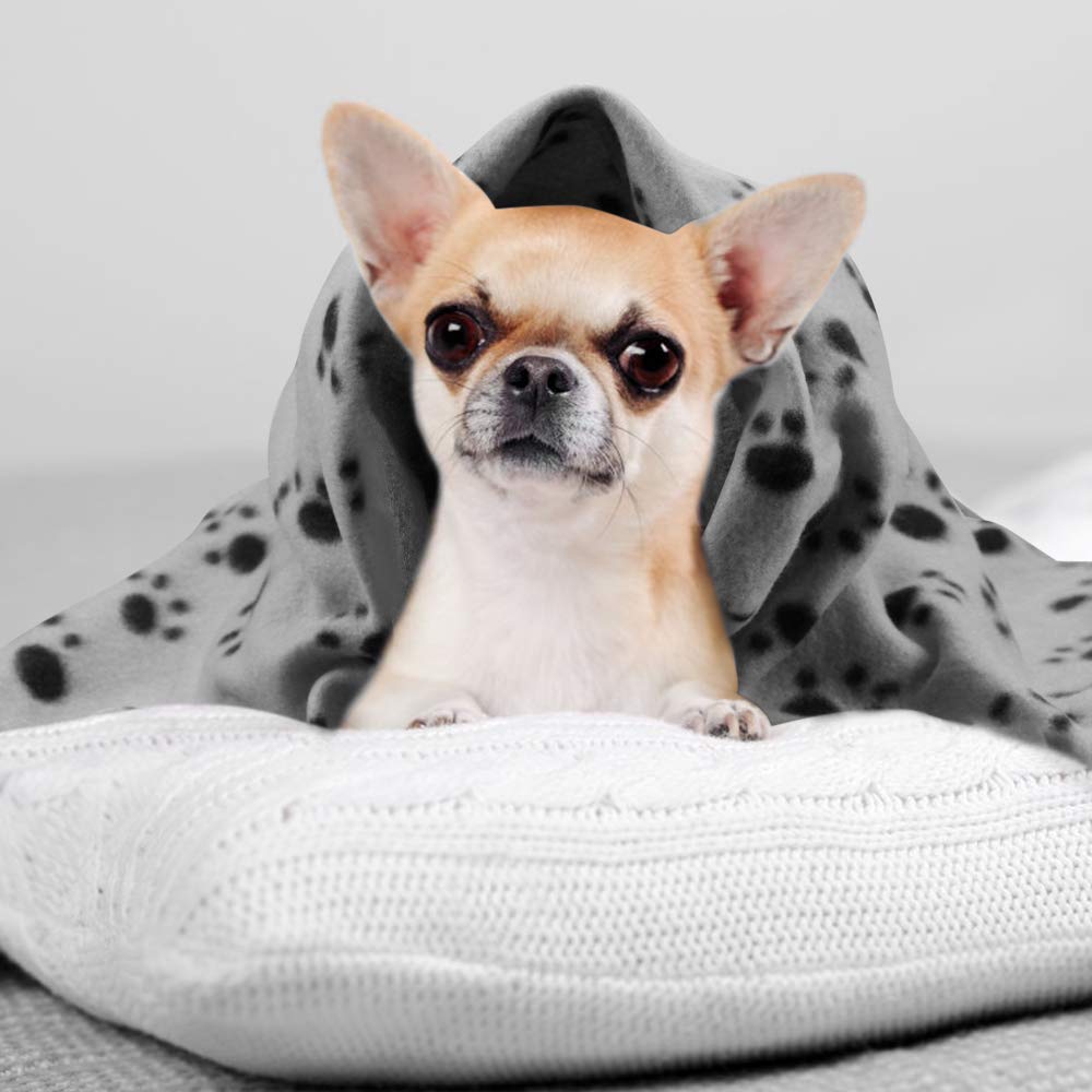 Comsmart Dog Blankets For Small Dogs, 6 Pack Puppy Blanket Cute Paw Print Pet Blanket For Dog, Puppy, Cat, Kitten, 24X28 Inches,
