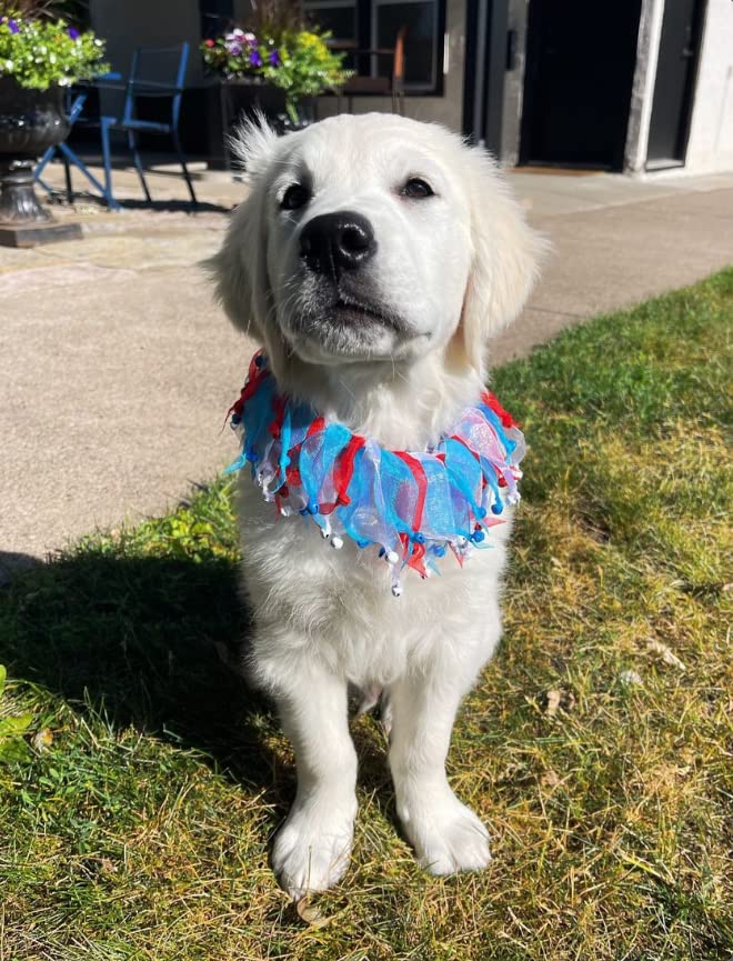 Midlee 4Th Of July Decorative Dog Bell Collar (Large)