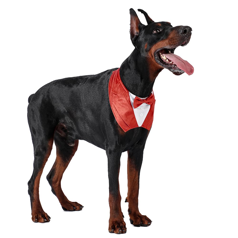 Dog Tuxedo For Wedding Engagement And Birthday, Halloween Formal Suit Tux Bandana Costume With Orange Bow Tie And Adjustable Buc