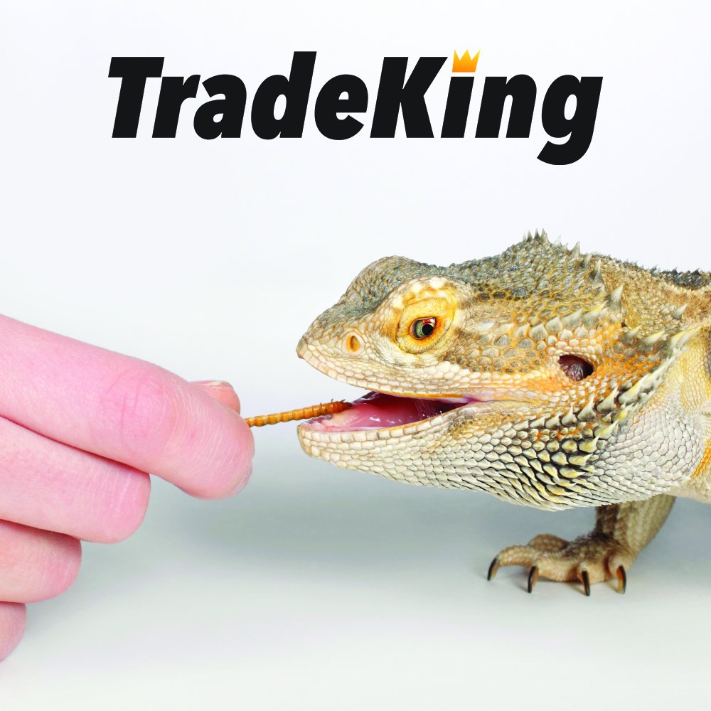TradeKing Natural Dried Crickets, Food for Bearded Dragons, Wild Birds, Chicken, Fish, & Reptiles (8 oz Resealable Bag) Veterina