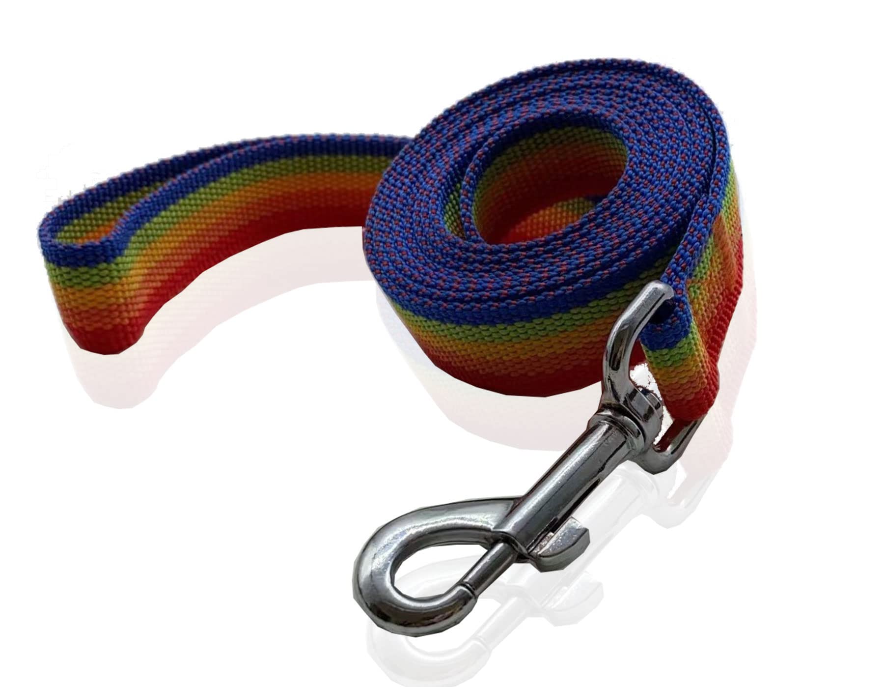 Nylon Dog Leash 12 Feet Long, Walking Training Dog Leashes For Medium Large Dogs(1'' X 12 Ft, Rainbow)
