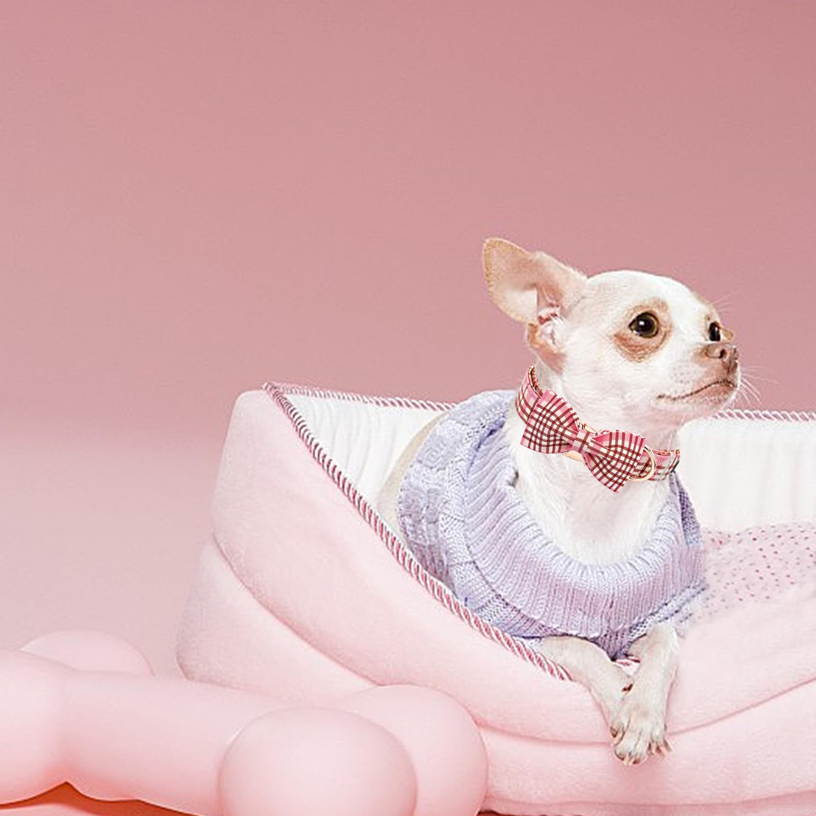Elegant Little Tail Cute Pink Dog Collar With Bow For Medium Dogs, Adjustable Cotton Summer Pet Collar