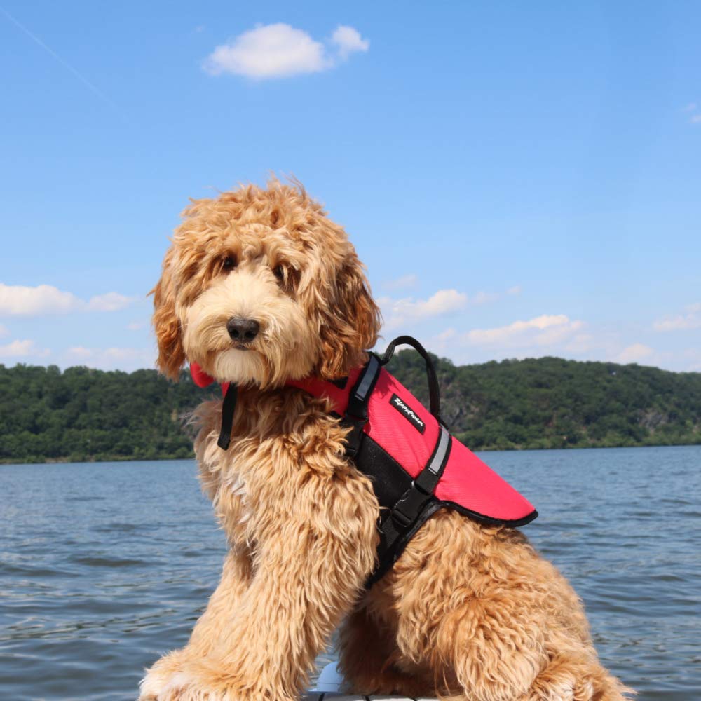ZippyPaws Adventure Dog Lifejacket - Red, X-Small, for Swimming & Swim Training, Model ZP497