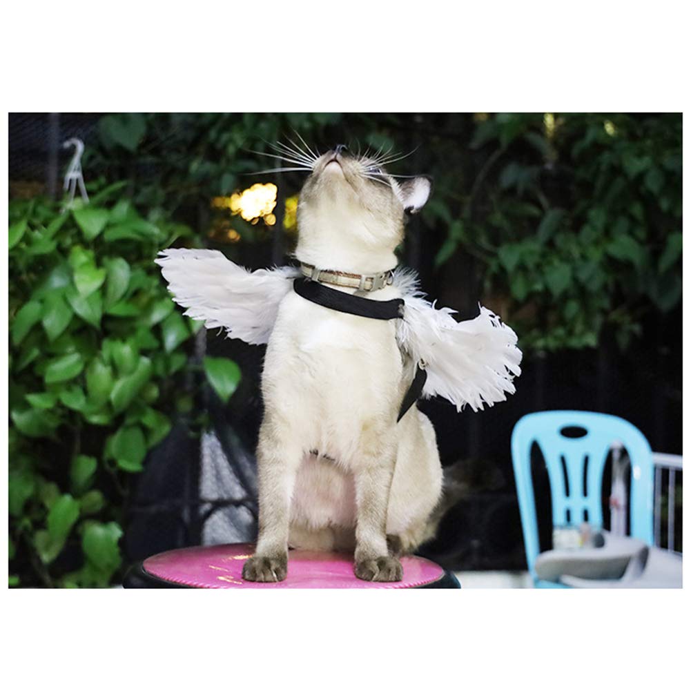 WeeH Pet Halloween Costume Cosplay Angel Devil Black White Wing for Dog Cat Rabbit Piggy - Funny Gift at Halloween Party Anime T