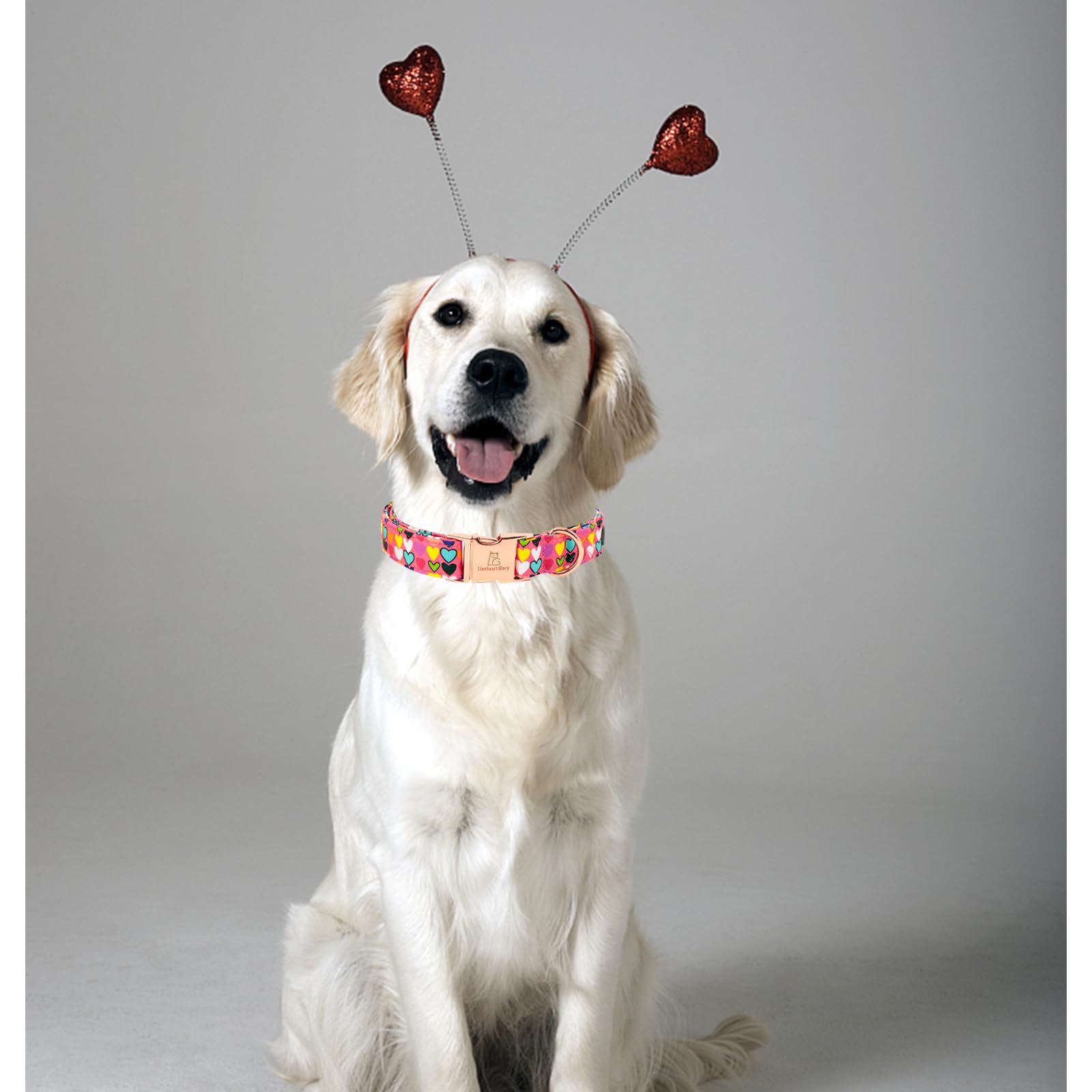 Lionheart Glory Valentine Collar, Hearts Dog Collar For X-Large Cute Dog Collars Spring Female Pet Gift Adjustable Heavy-Duty Do