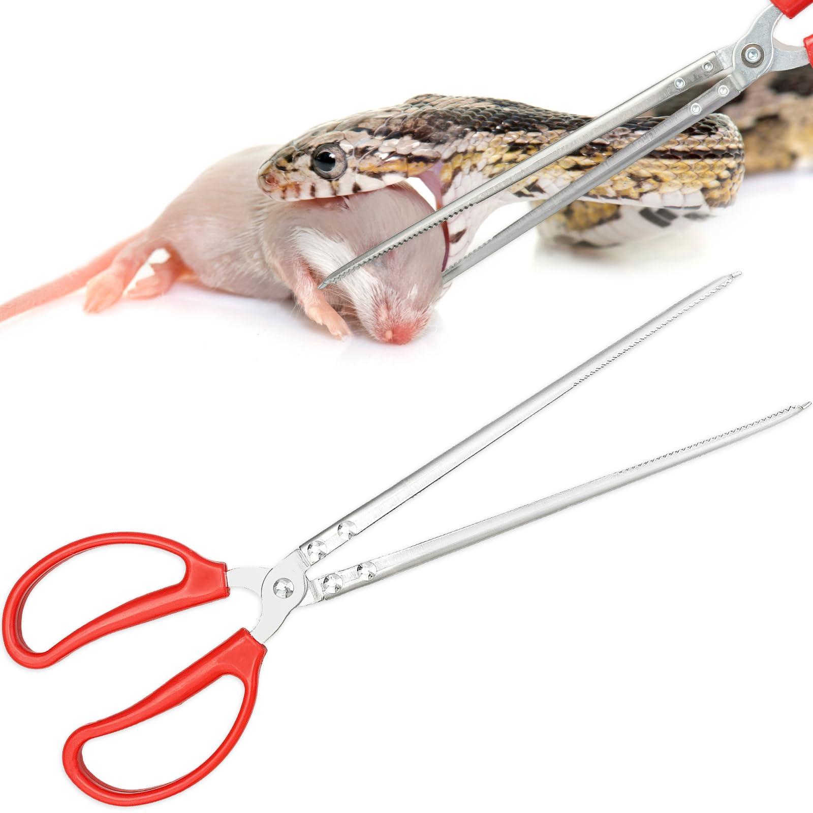 Fwunyvn Snake Feeding Tongs,14.8 Inch Straight Mouth Reptile Feeding Tongs,Heavy Duty Snake Feeding Tongs For Corn Ball Python A