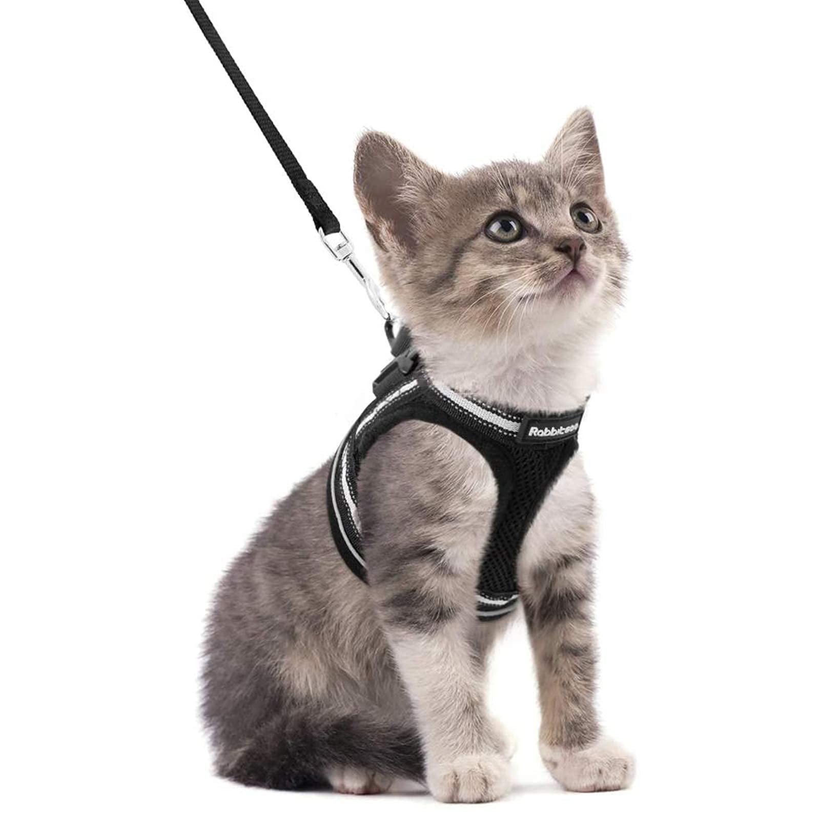 Rabbitgoo Cat Harness And Leash Set For Walking Escape Proof, Adjustable Soft Kittens Vest With Reflective Strip For Cats, Comfortable Outdoor Vest, Blue, S