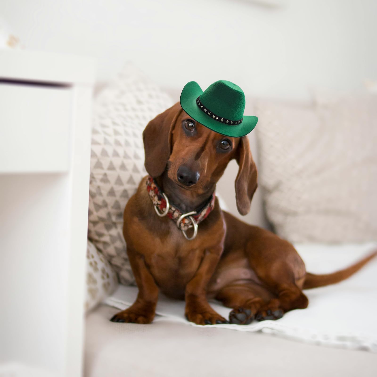 Awocan Pet Dog Costume Cowboy Hat Cosplay Cap Puppy Pet Dog Cat Holiday Pet Party Decoration (Green)