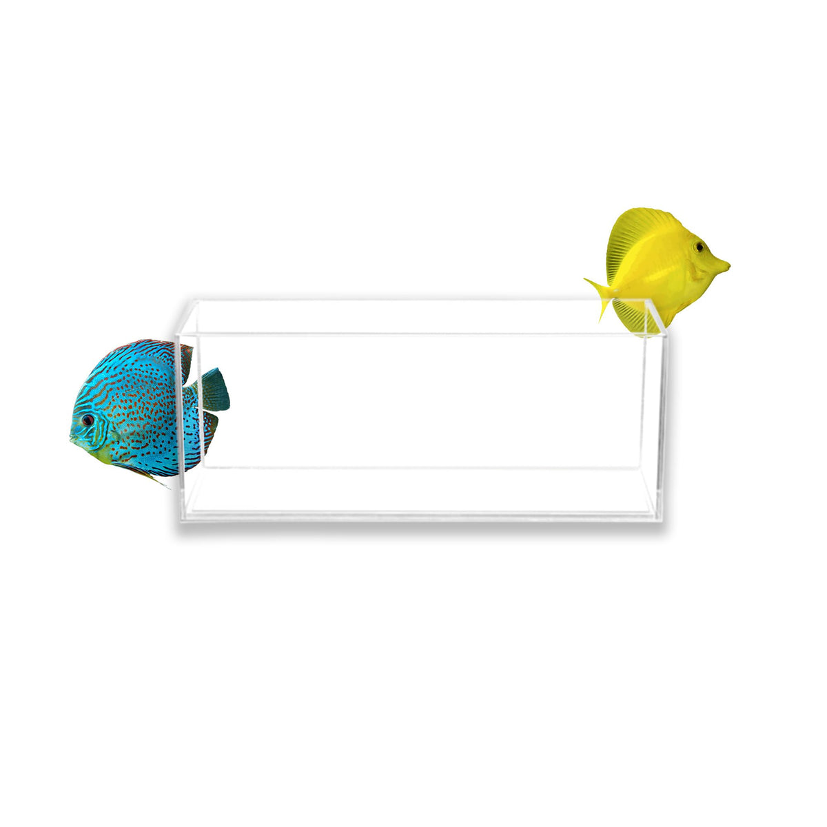 Aquatop High Clarity Glass Aquarium - Ideal For Salt & Freshwater Tanks - Durable Bookshelf Aquarium - 3 Gal Fish Tank - Hca-3G