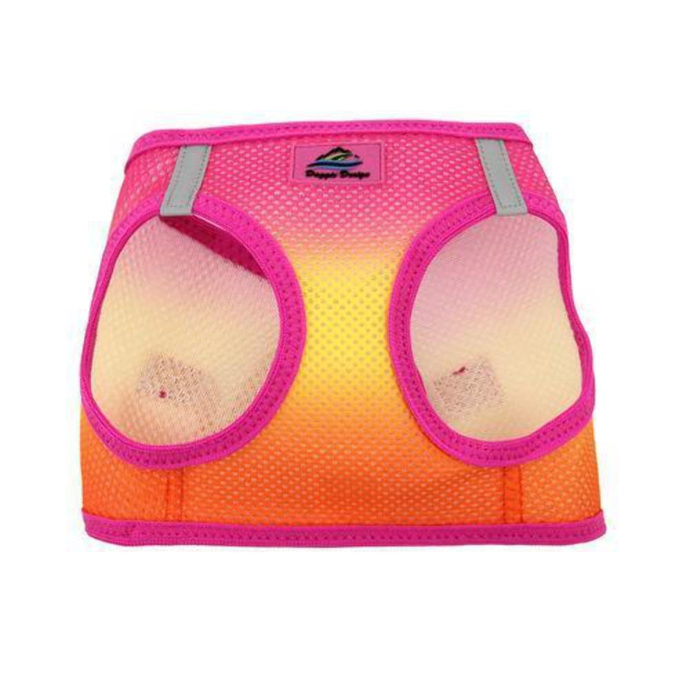Doggie Design Dog Harness - No Choke Dog Harness, Dog Vest, Mesh Polyester, Pet Harness, Simple Step in and Go Design, Harness for Dog - Raspberry Pink and Orange - XXS