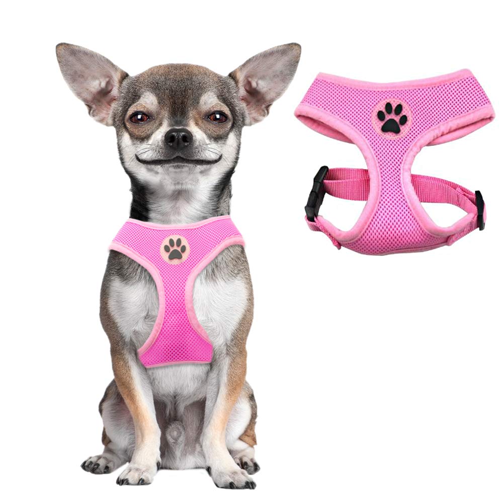 Bingpet Small Dog Harness - Breathable Mesh Puppy Cat Harnesses - No Pull Adjustable Dog Harness Dog Vest Harness For Small And Medium Dogs