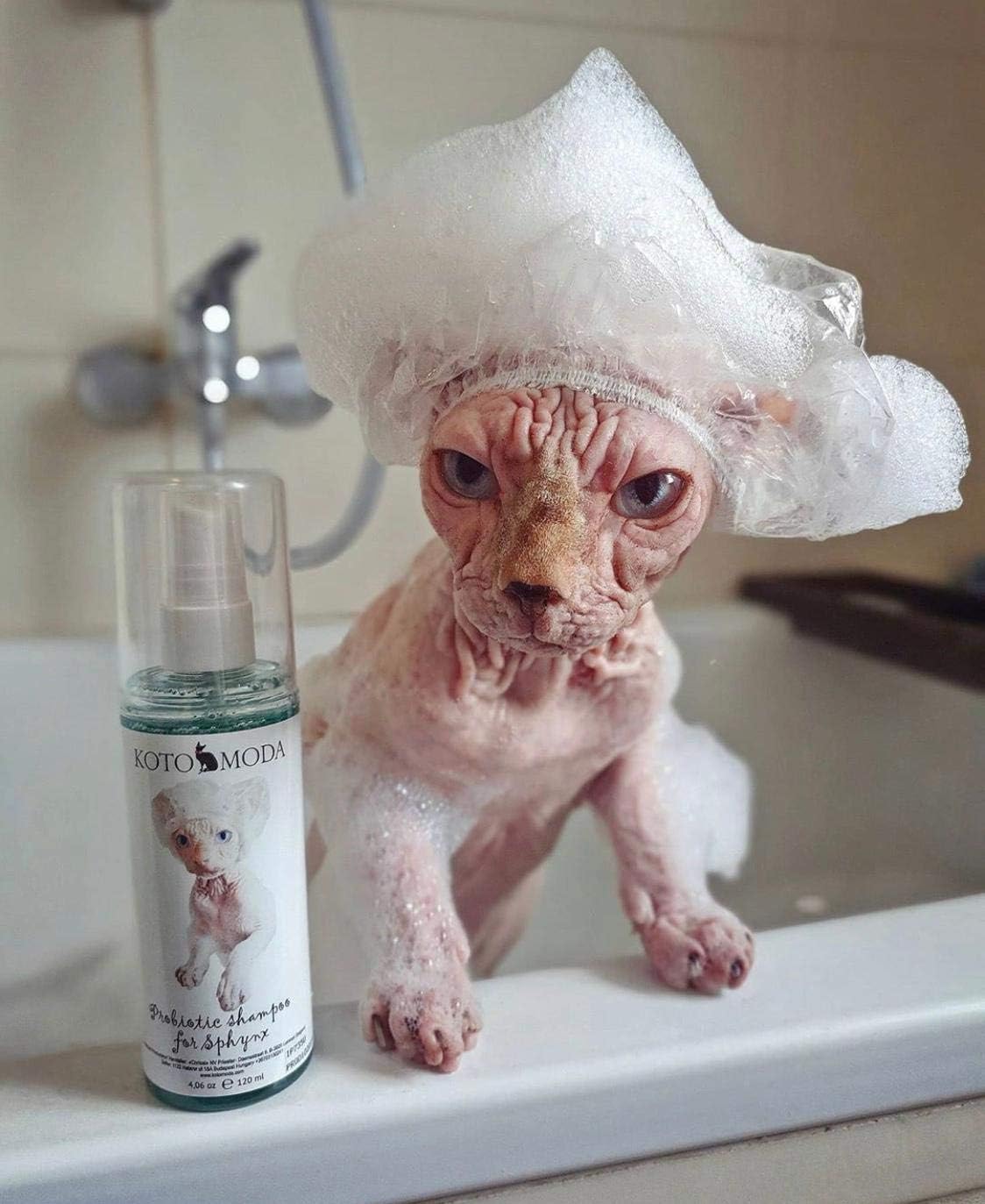 Kotomoda Probiotic Shampoo For Sphynx Cats (8.45)