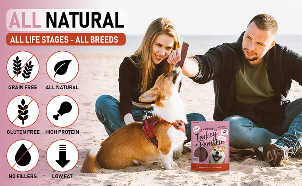 Pet Jerky Factory Premium Dog Treats | 100% Human Grade | USA Made | Grain Free | Turkey and Pumpkin, 12 oz.