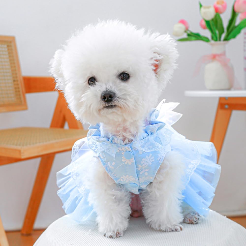 Aniac Daisy Small Dog Dresses Female With Leash Ring,Bow Knot Girl Puppy Wedding Dress,Valentine'S Cat Outfit,Fancy Pet Party Dr