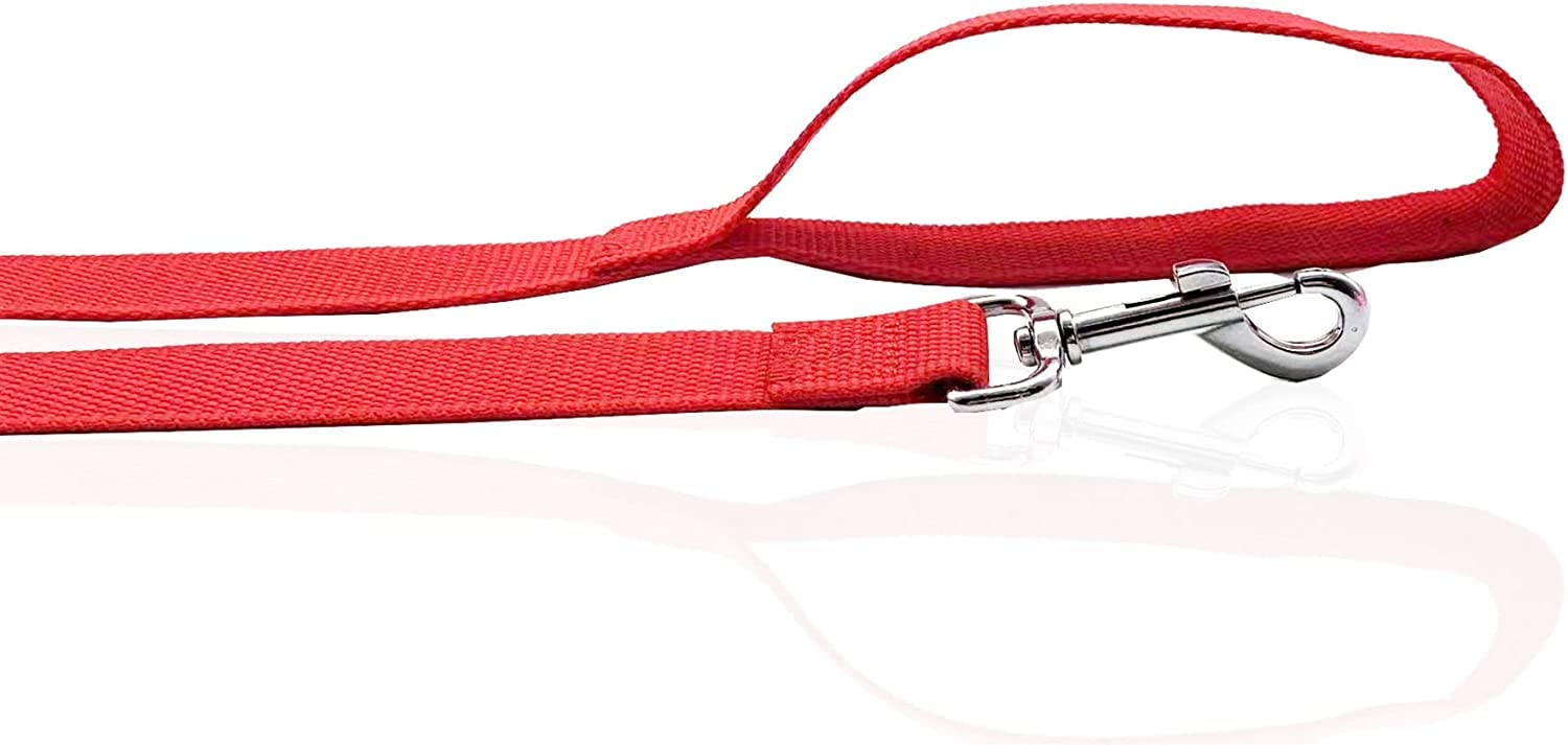Nylon Dog Leash 8 Feet Long, Walking Training Dog Leashes For Medium Large Dogs(1'' X 8 Ft, Red)