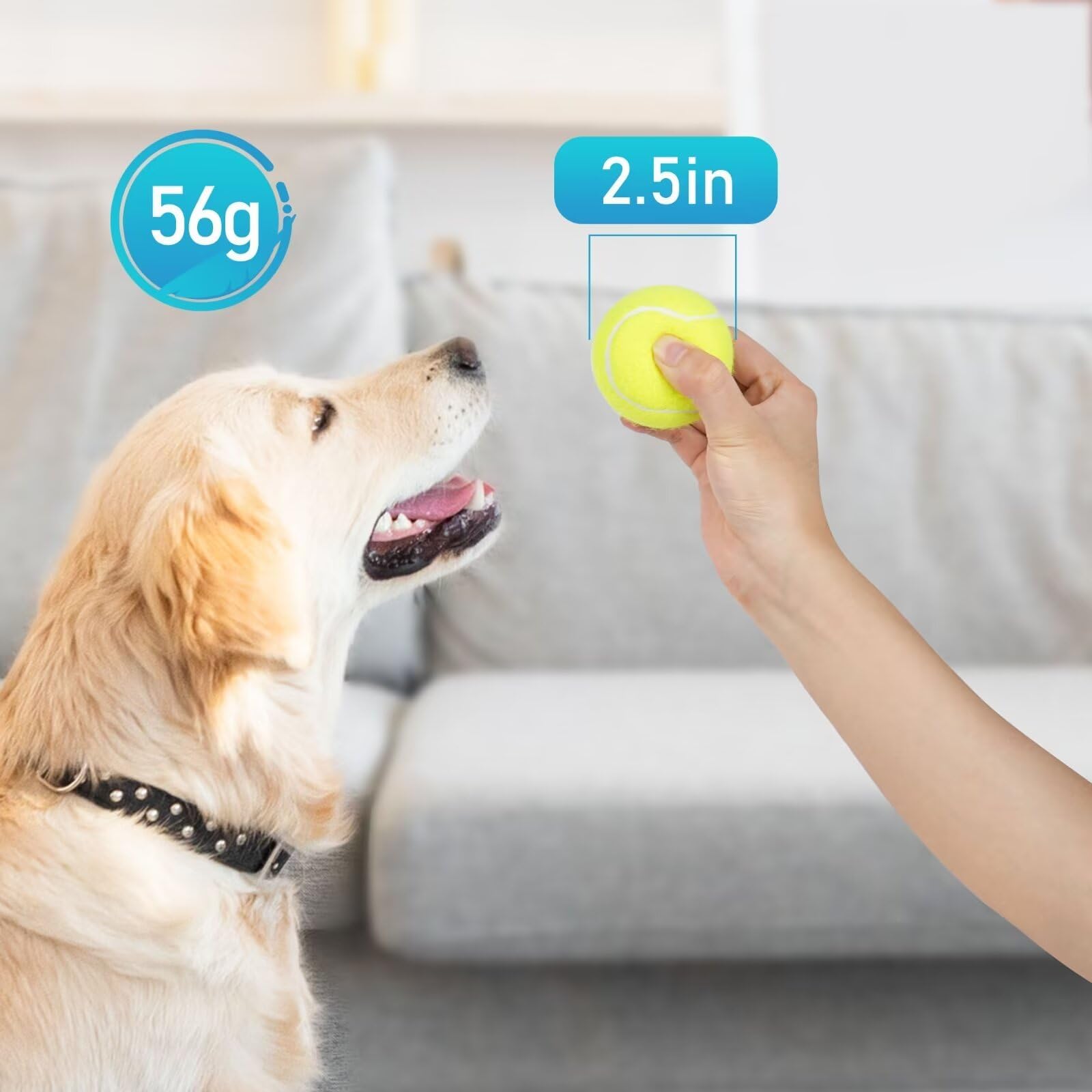 Primepets Tennis Balls For Dogs, 2.5 Inch, 12 Pack, Squeaky Dog Toy, Interactive Pet Fetch Ball For Medium And Large Dogs, Squea