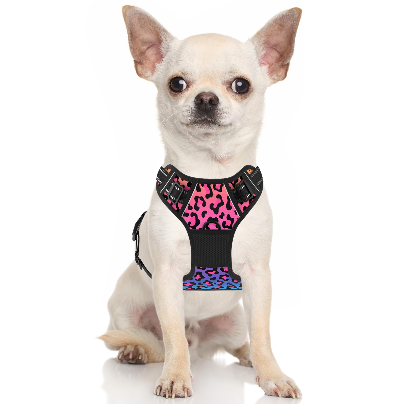 Rnivvi No Pull Dog Harness, Cute Leopard Reflective Small Sized Puppy Kitten Harness, Adjustable Soft Padded Vest for Small Dogs