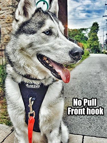 Neewa No Pull Harness With Handle For Medium And Large Dogs (X-Large, Black) - Ideal For Walking And Hiking - Back And Front Lea