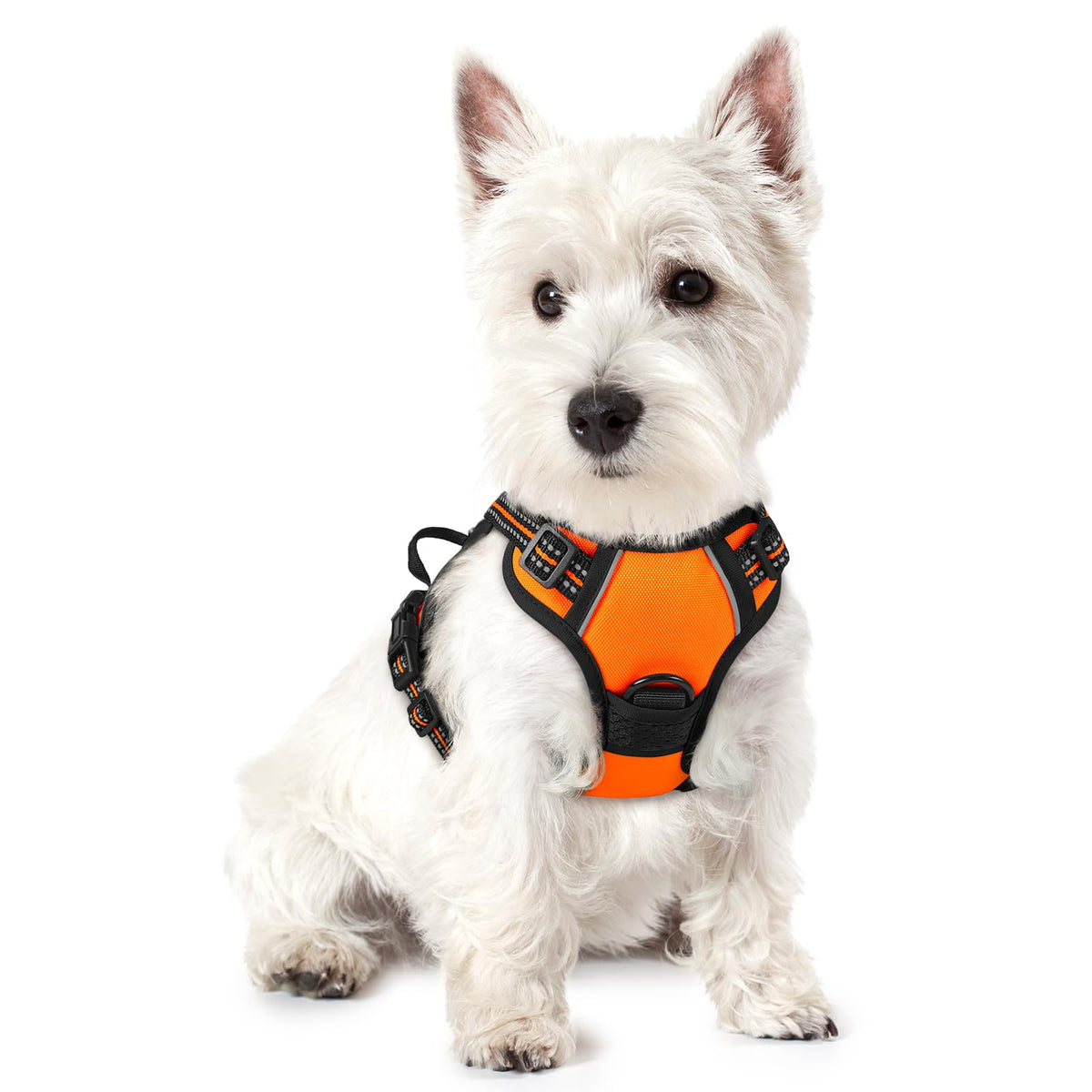 Rabbitgoo Dog Harness No Pull With 2 Leash Clips, Adjustable Soft Padded, Reflective Oxford No Choke Pet Vest With Easy Control Handle For Puppy, Orange,Xs