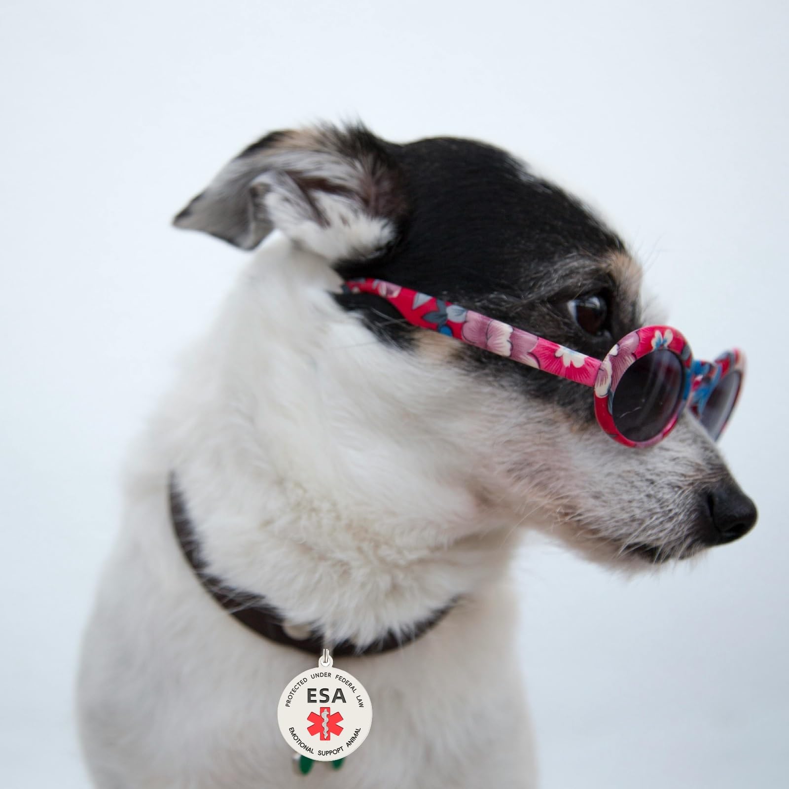 Mydeeryoo Esa Dog Id Tag Emotional Support Animal Easily Attach To Dog Collar, Harness (Medium-1.18 Inch)