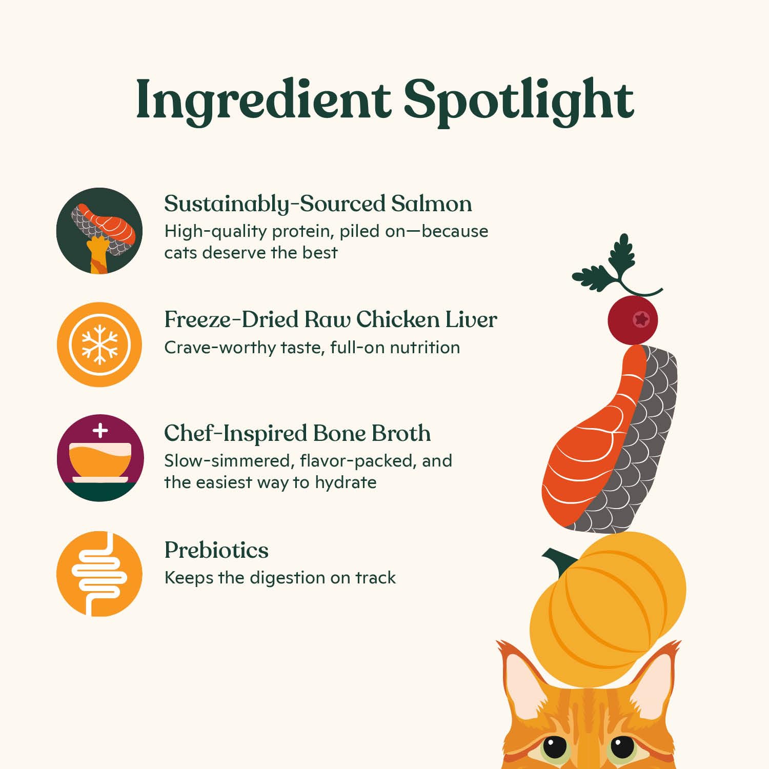 Made by Nacho Dry Cat Kibble 4lb Bag, High Protein Premium Cat Food with Freeze Dried Pieces, Sustainably-Caught Salmon, Whitefi