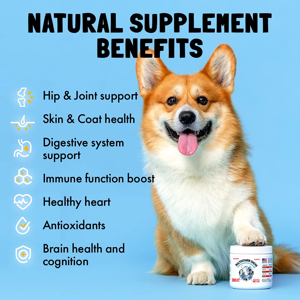 Dog Vitamins - 120 Multivitamins Chews w/Glucosamine Chondroitin, Probiotics Digestive Enzymes and Omegas - Supplement for Overa