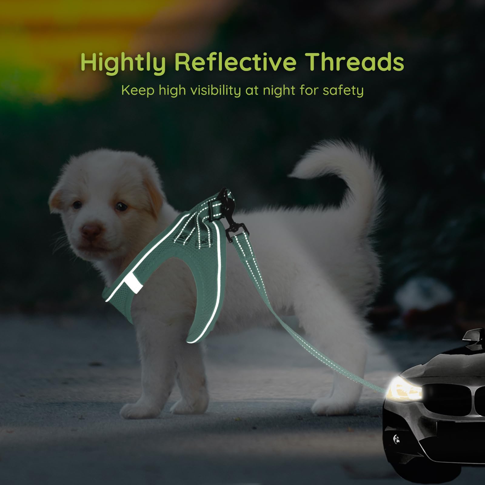 Bella & Pal Small Dog Harness With Leash Set, Light Green, Size S, No Pull, Reflective Strips, Step-In Design