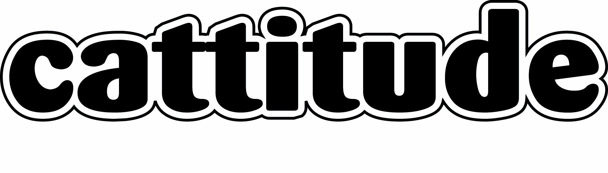 Imagine This Cattitude Car Magnet, 7-Inch By 2-Inch