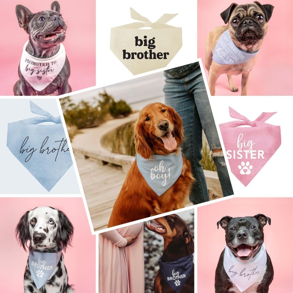 Promoted To Big Brother Dog Bandana | 100% Cotton Adjustable Triangle | Pregnancy Announcement | New Baby Made In Usa | Baby Pin