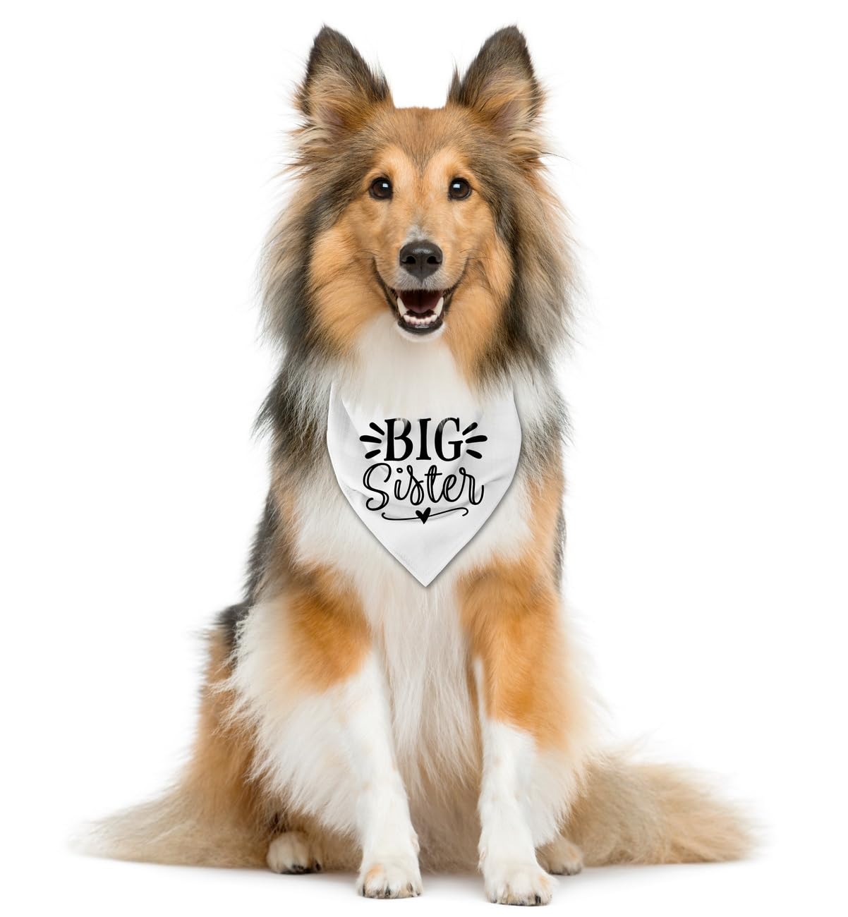 Big Sister Dog Bandana, White Dog Scarf Accessories, Pet Triangle Scarf, Pet Bandana For Small Medium Dogs, Baby Announcement Do