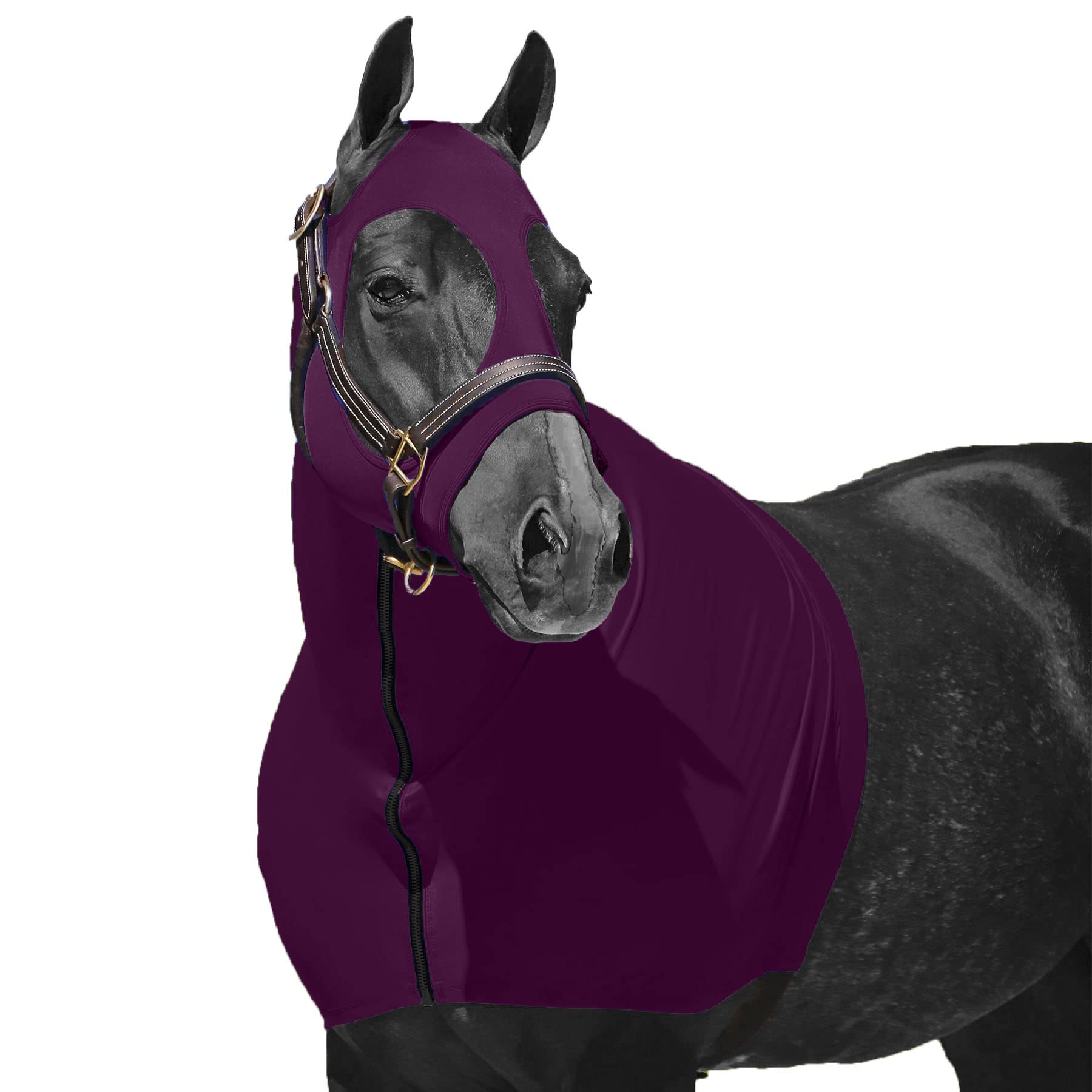 Resistance Horse Hood Slinky Lycra Zippered Mane Braid Shoulder Guard - Horse Sleazy Slickers Care Sheet