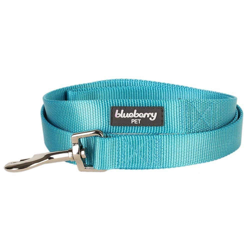 Blueberry Pet Essentials 21 Colors Durable Classic Dog Leash 5 Ft X 3/8', Turquoise, X-Small, Basic Nylon Leashes For Puppies