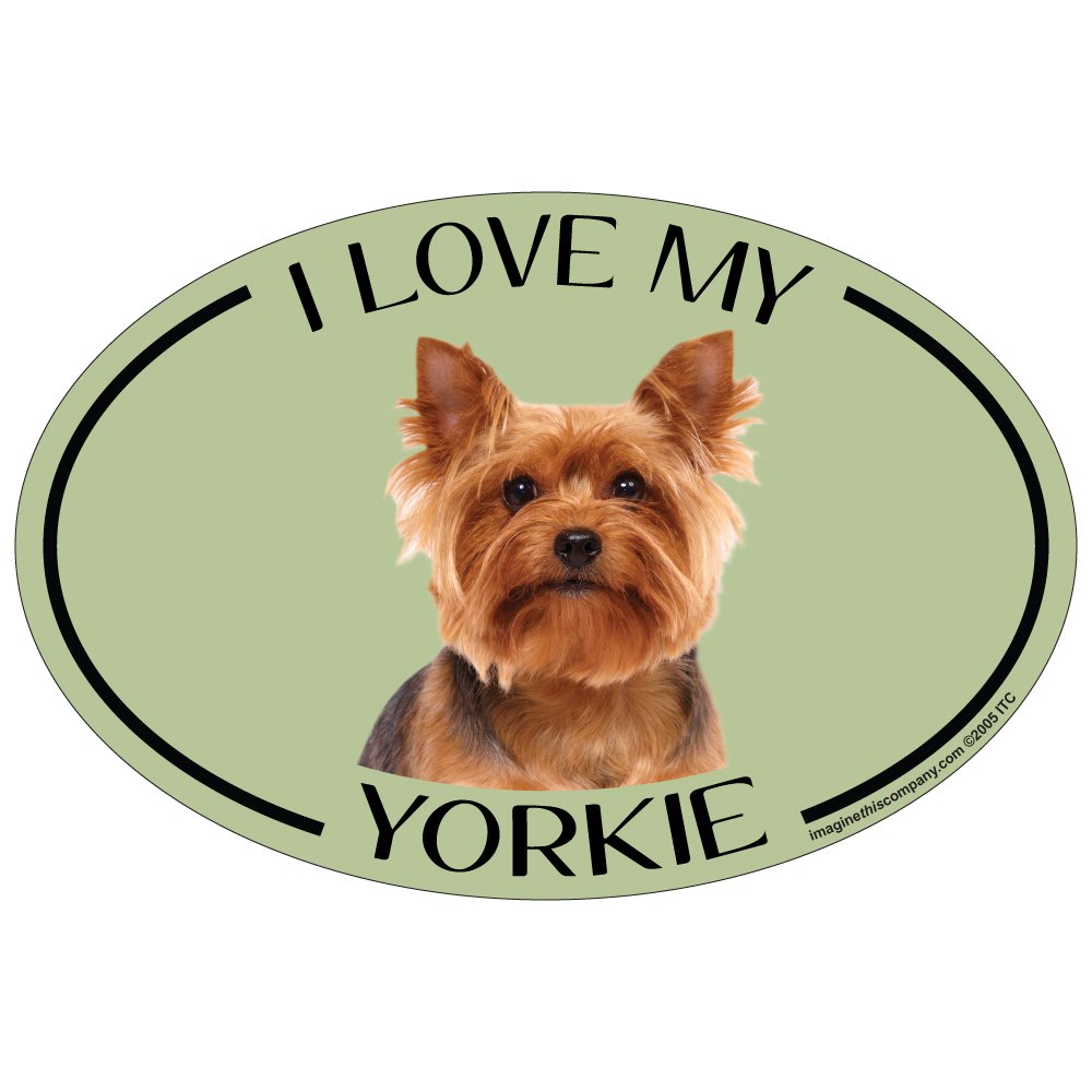 Imagine This Oval Magnet, I Love My Yorkie Small