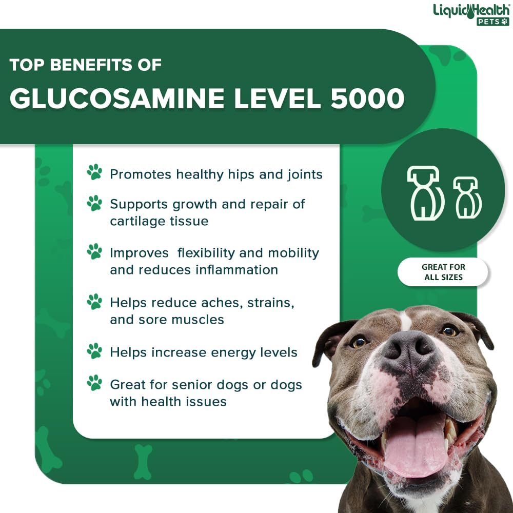 LIQUIDHEALTH Pets K9 Liquid Glucosamine Level 5000 for Large Breeds with Chondroitin, MSM - Pet Joint Health Supplements, Dog Vi