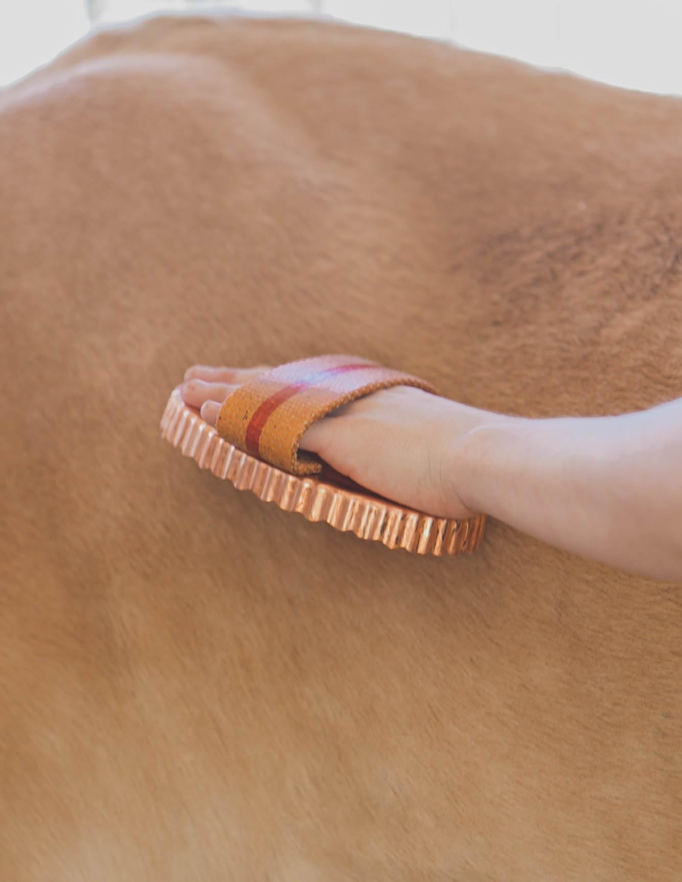 Kawell Usa Oval Face Curry Comb Brush For Horse Grooming And Coat Care With Grip Handle