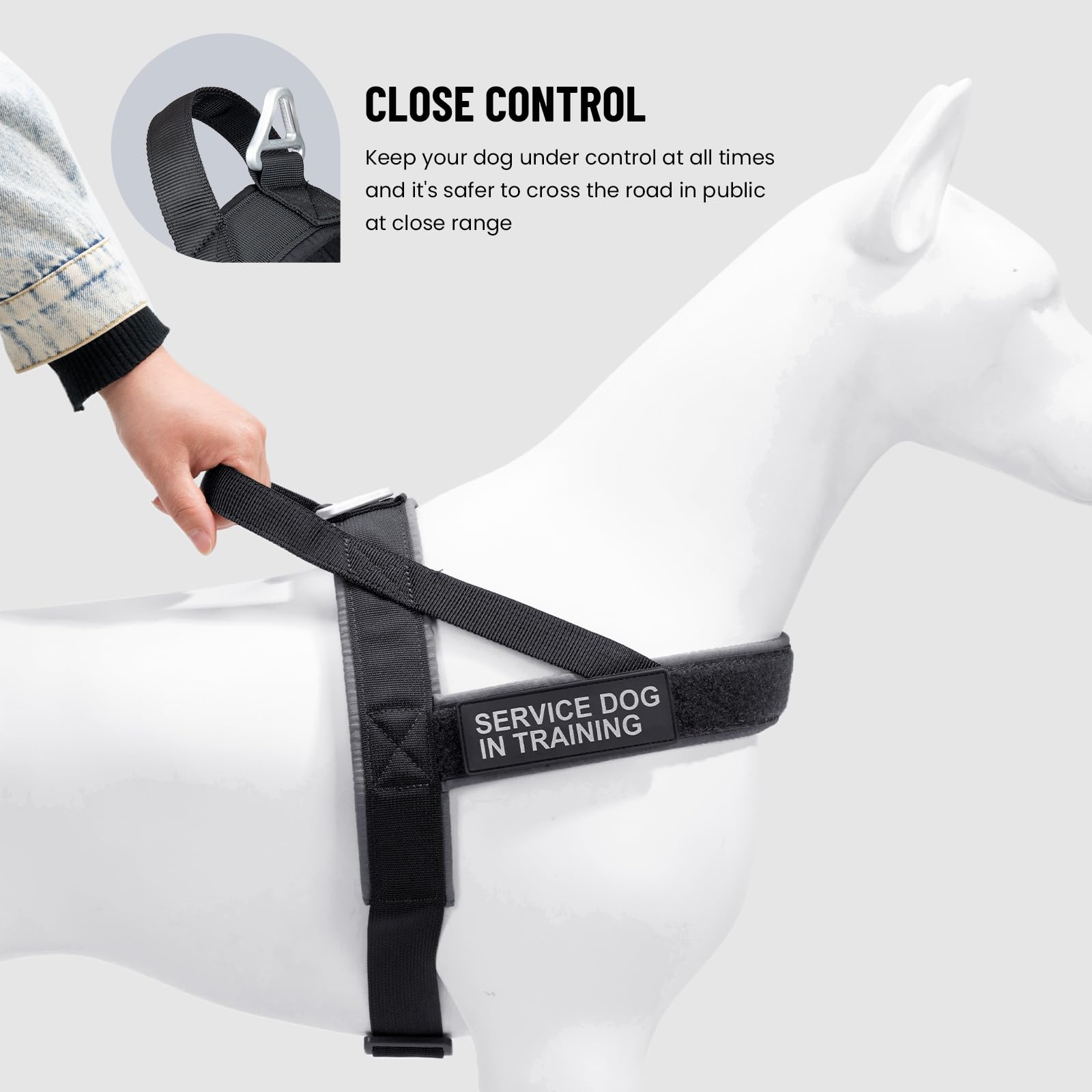 Excellent Elite Spanker No Pull Dog Harness Padded Dog Harness Adjustable Nylon Small Dog Harness Walking Dog Harness For Training Running(Blk-L)