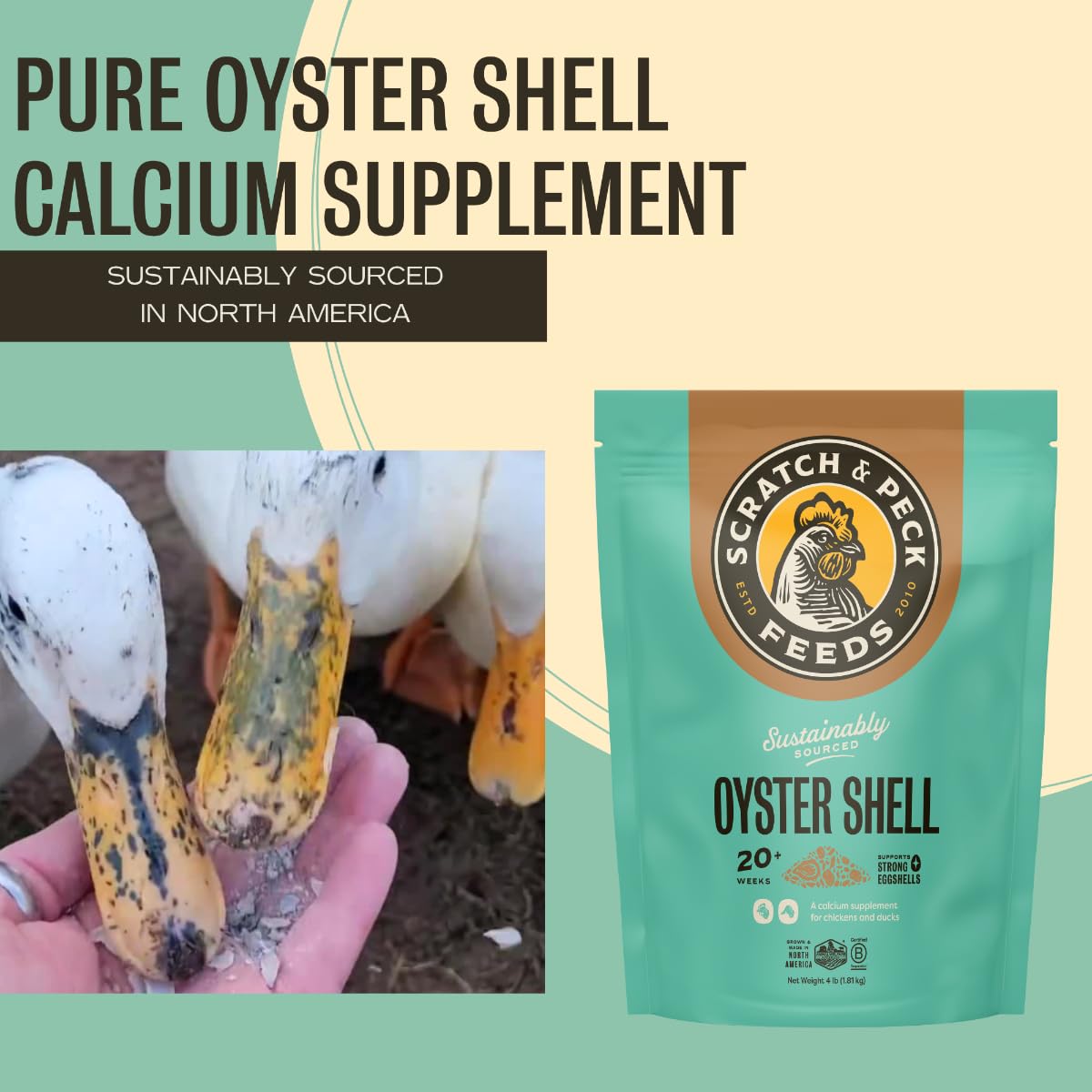Scratch and Peck Feeds Cluckin Good Oyster Shell Supplement for Chickens and Ducks - 4-lbs - 9300-04