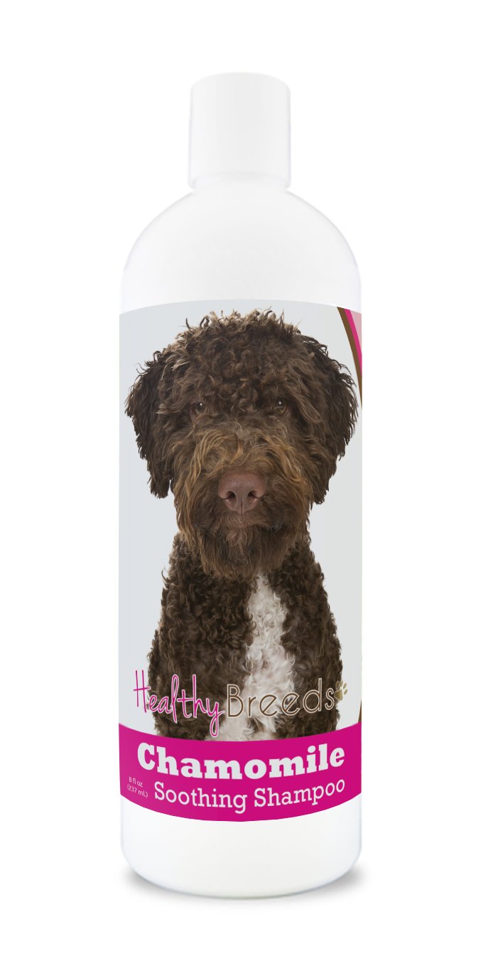 Healthy Breeds Lagotti Romagnoli Chamomile Soothing Dog Shampoo 8 oz
