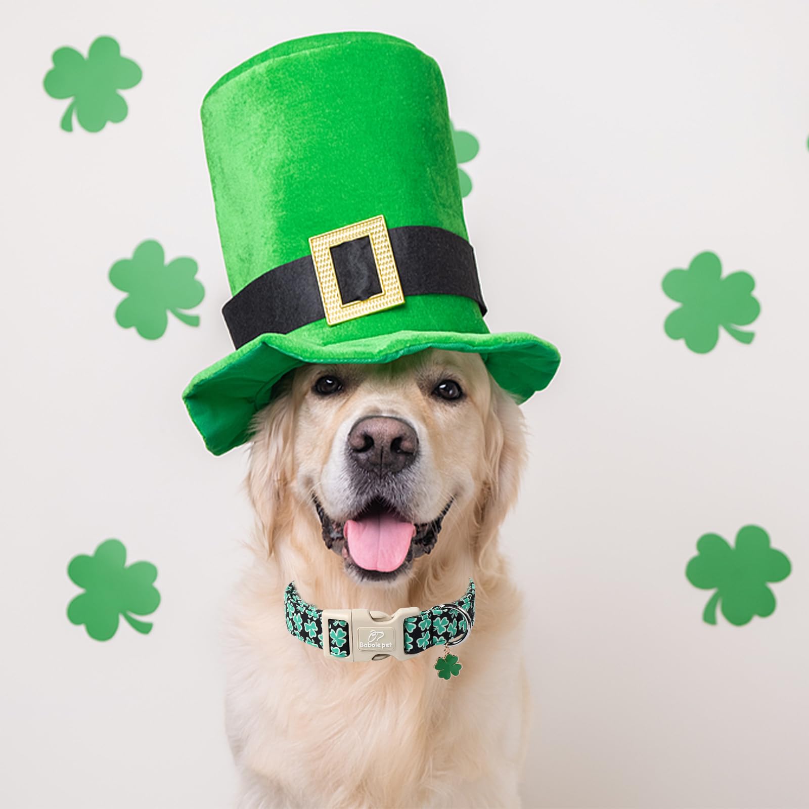 Babole Pet St Patricks Day Clover Dog Collar, Lucky Shamrock Dog Collars, Adjustable Cute Trefoil Dog Collar with Quick Release